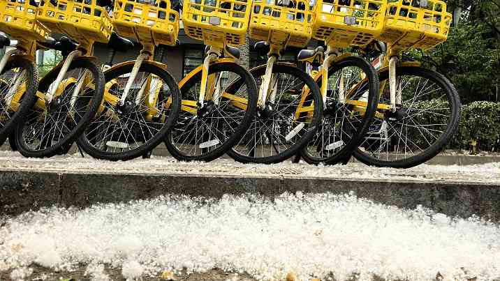 飞絮肆虐扰民、火灾隐患丛生，如何破解？ - XCCX热点资讯网