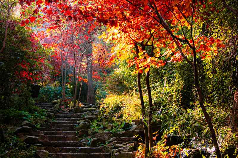 国庆中秋双节同庆，济南九如山花样活动玩不停(图2)