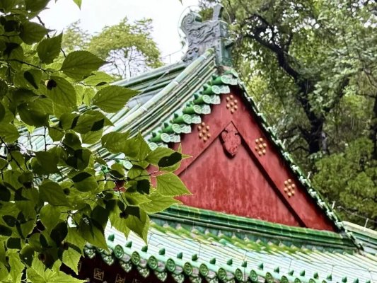 烟雨灵岩，温情不减！免费雨衣+暖心梨汤，双节演出全部照常！(图11)