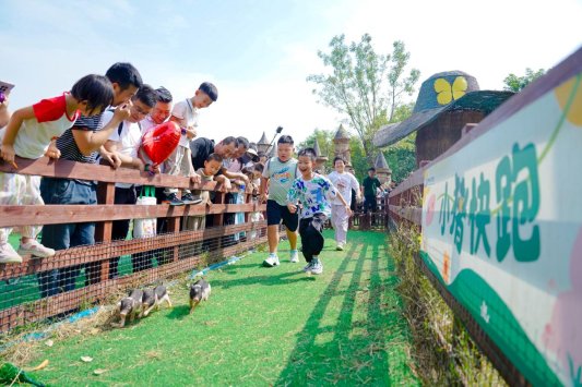 济南野生动物世界“双节”同庆首日迎客火爆(图9)