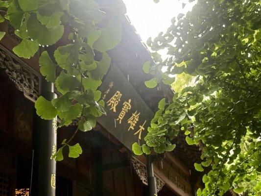 烟雨灵岩，温情不减！免费雨衣+暖心梨汤，双节演出全部照常！(图5)