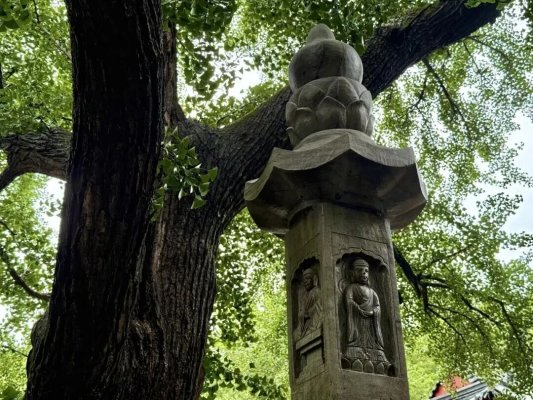 烟雨灵岩，温情不减！免费雨衣+暖心梨汤，双节演出全部照常！(图6)