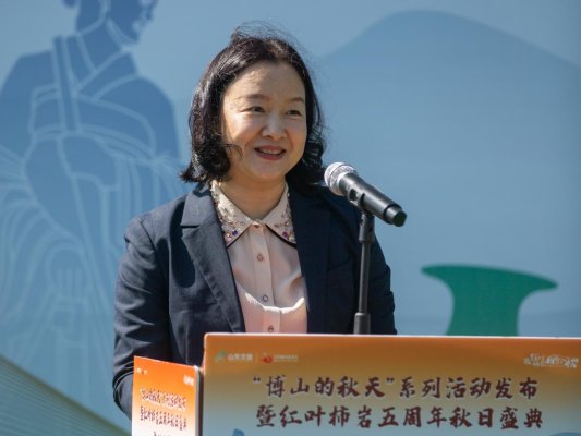 一起来博山晒个秋！红叶柿岩五周年秋日盛典启幕(图2)