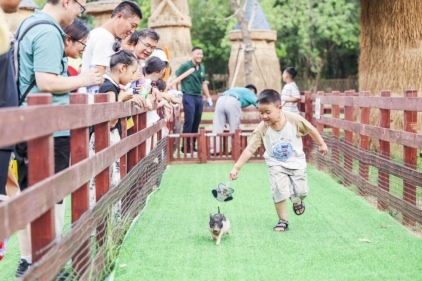 济野十年感恩庆典：金秋宠粉欢乐开启(图4)