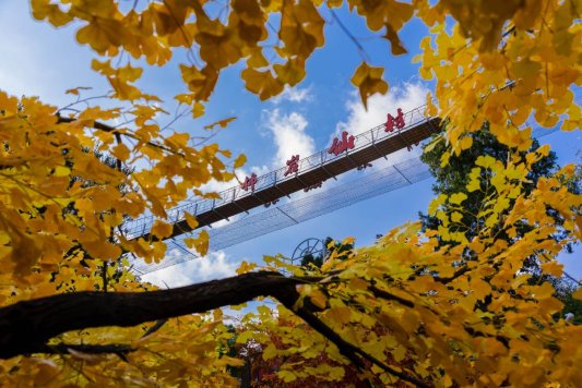 五周年焕新之作｜红叶柿岩首届秋季产品“来红叶柿岩晒个秋”即将启幕 - XCCX热点资讯网