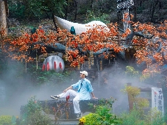 “博山的秋天”系列活动发布暨红叶柿岩五周年秋日盛典即将启幕(图3)