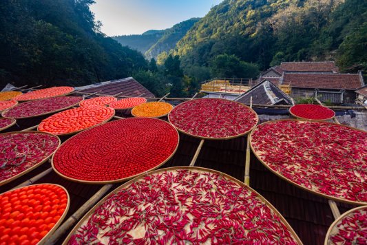 五周年焕新之作｜红叶柿岩首届秋季产品“来红叶柿岩晒个秋”即将启幕(图4)