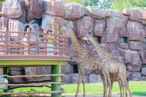 济野十年感恩庆典：金秋宠粉欢乐开启(图3)