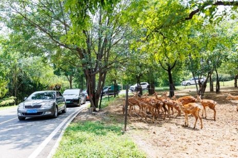 济野十年感恩庆典：金秋宠粉欢乐开启(图2)