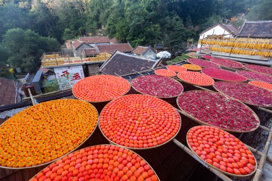 五周年焕新之作｜红叶柿岩首届秋季产品“来红叶柿岩晒个秋”即将启幕(图3)