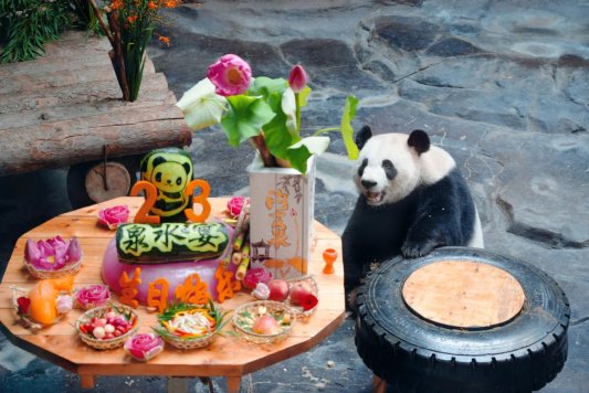 23岁啦！一桌“泉水宴”为“她”庆生(图2)