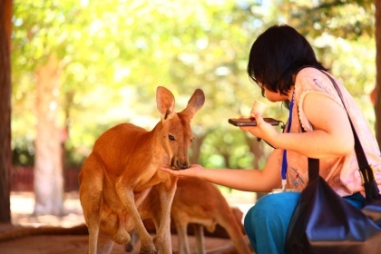 抓住暑假尾巴！济南野生动物世界日夜奇幻狂欢，甜蜜恋爱季点燃盛夏终章(图2)