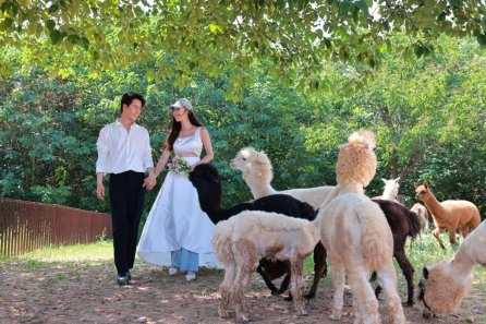 抓住暑假尾巴！济南野生动物世界日夜奇幻狂欢，甜蜜恋爱季点燃盛夏终章(图3)