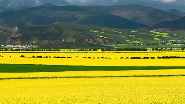 做好“景区＋”大文章 - XCCX热点资讯网