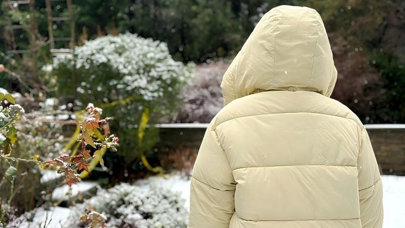 买羽绒服别只盯“含绒量”，还要注意这些问题！ - XCCX热点资讯网