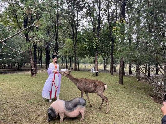 济南鲜花港“金秋游园会”国庆开启 - XCCX热点资讯网