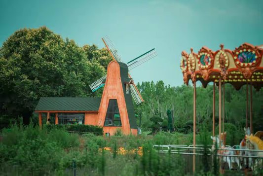 济南鲜花港“金秋游园会”国庆开启(图3)