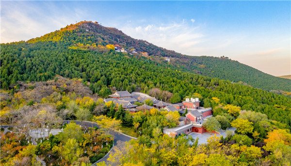 泉畔拾光 邂逅历下冬日浪漫诗章(图2)