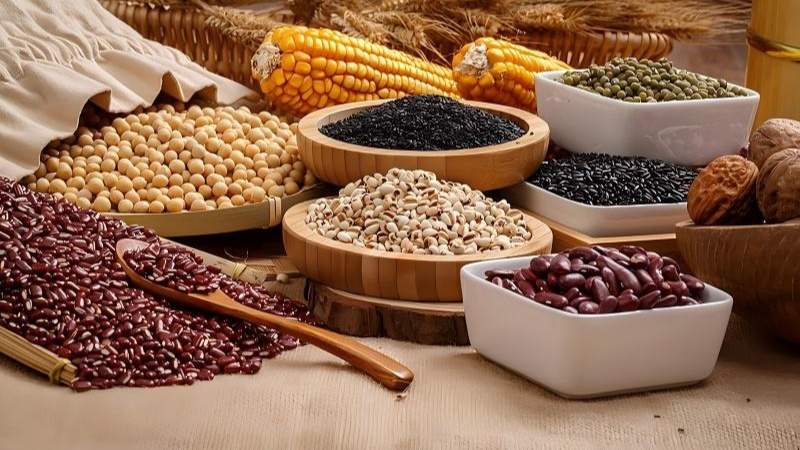 2025年农业农村发展稳中有进 - XCCX热点资讯网