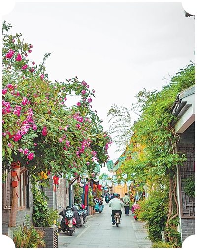 “文火慢炖” 融汇老味道与新活力 - XCCX热点资讯网