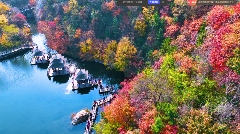 九如山秋日画卷徐徐展开,泉润红枫色彩斑斓(图2)