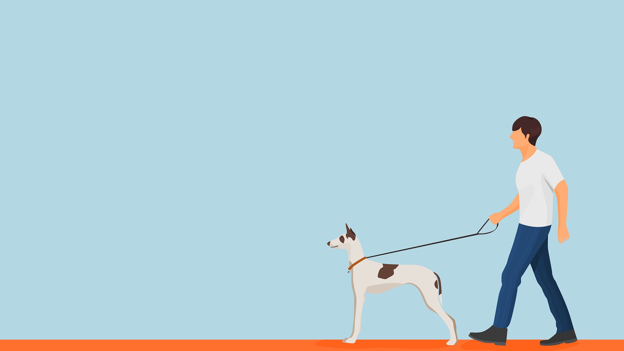 明年起，遛狗不拴绳致狗伤人，视情节可拘留！ - XCCX热点资讯网