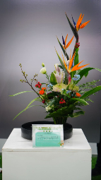 山东省“技能兴鲁”职业技能大赛——2025年山东省园林绿化行业花艺环境营造职业技能竞赛成果展暨花境展园开园(图20)