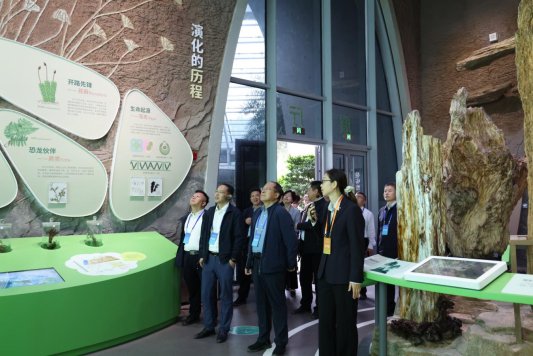 山东省“技能兴鲁”职业技能大赛——2025年山东省园林绿化行业花艺环境营造职业技能竞赛成果展暨花境展园开园(图16)