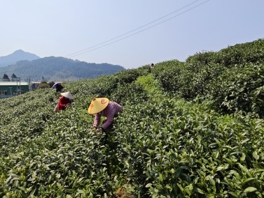 再开100家新店！盒马CEO：看好内需消费对零售业充满信心(图3)