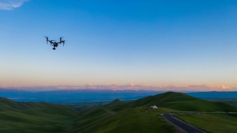 无人机扰鸟引关注 东营出台“禁飞令”守护候鸟安全 - XCCX热点资讯网
