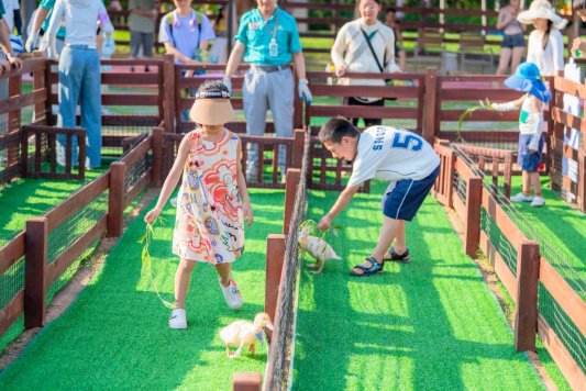 济南野生动物世界：夜间动物园火爆开启，奇幻光影引爆泉城夏夜 - XCCX热点资讯网