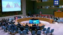 联合国安理会举行轻小武器问题公开辩论会 - XCCX热点资讯网