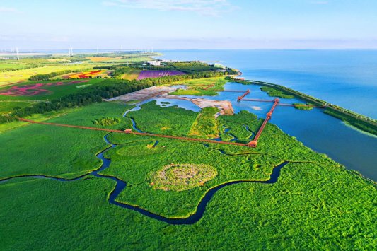 白山松水走进齐鲁大地，总有一个夏天要留给吉林！(图6)