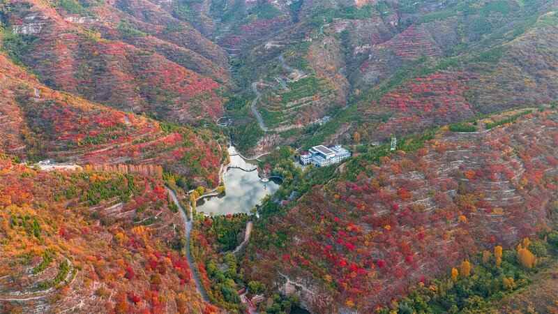 中秋、国庆来畅玩山野！潭溪山秋色极速加载中(图3)
