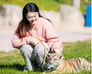 萌虎“糖糖”送福来,爪印成章迎新年(图2) 萌虎“糖糖”送福来,爪印成章迎新年(图2)