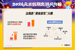 元旦跨年怎么玩?飞猪:看极光、带宠旅行热度大增200%(图3) 元旦跨年怎么玩?飞猪:看极光、带宠旅行热度大增200%(图3)