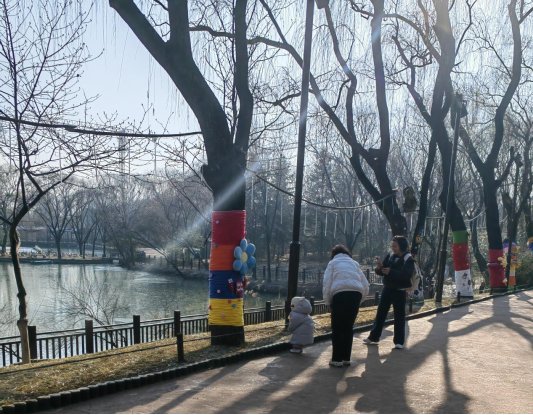 萌虎“糖糖”送福来,爪印成章迎新年(图8) 萌虎“糖糖”送福来,爪印成章迎新年(图8)