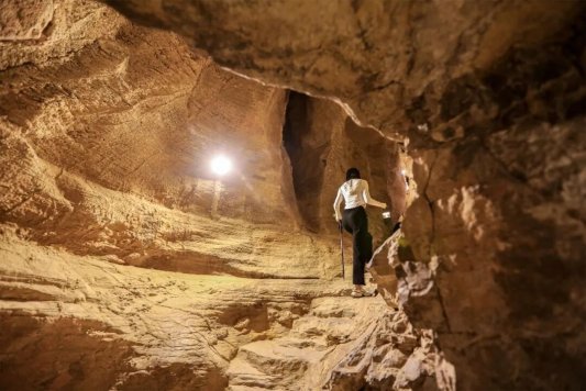 再获省级殊荣！淄博潭溪山荣膺山东省旅游景区强基焕新典型案例称号，以“生态+创新”树人与自然共生典范(图4)
