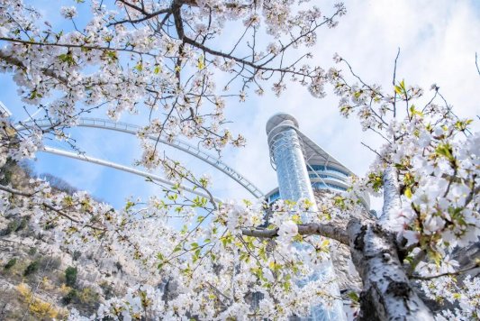 再获省级殊荣！淄博潭溪山荣膺山东省旅游景区强基焕新典型案例称号，以“生态+创新”树人与自然共生典范(图7)
