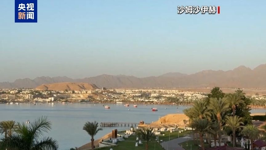 哈马斯代表团：与以色列间接谈判取得积极进展 - XCCX热点资讯网