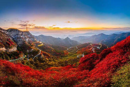 红叶柿岩荣膺2026中国50赏秋景点(图4) 红叶柿岩荣膺2026中国50赏秋景点(图4)