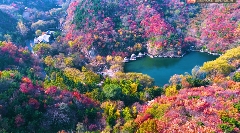 九如山秋日画卷徐徐展开，泉润红枫色彩斑斓(图3)