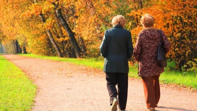 易方达汇悦平衡养老三年持有混合（FOF）启动发行 - XCCX热点资讯网