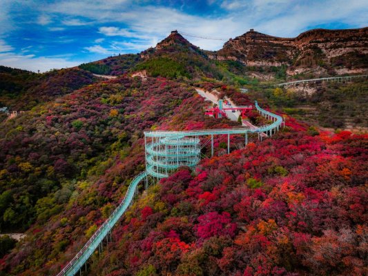 2025红叶柿岩“长城脚下红叶浓”第五届红叶季正式启幕(图2)