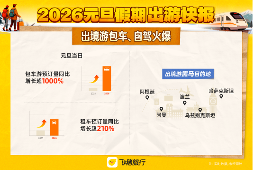 飞猪：元旦出游意愿提升，人均购买件数增长20%(图3)