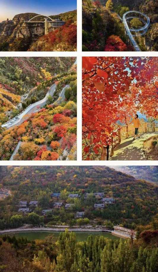 向云端！潭溪山做大“山水度假文章”，打造云端深度体验游(图14)