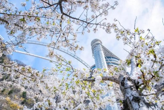 向云端！潭溪山做大“山水度假文章”，打造云端深度体验游(图15)