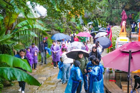 红叶柿岩：几场秋雨见证文旅真诚(图3)
