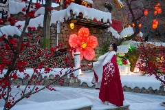 古村夜游限时回归！红叶柿岩明日开启“踏雪·寻梅记”主题活动 - XCCX热点资讯网