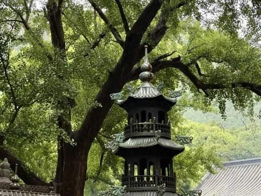 烟雨灵岩，温情不减！免费雨衣+暖心梨汤，双节演出全部照常！(图7)